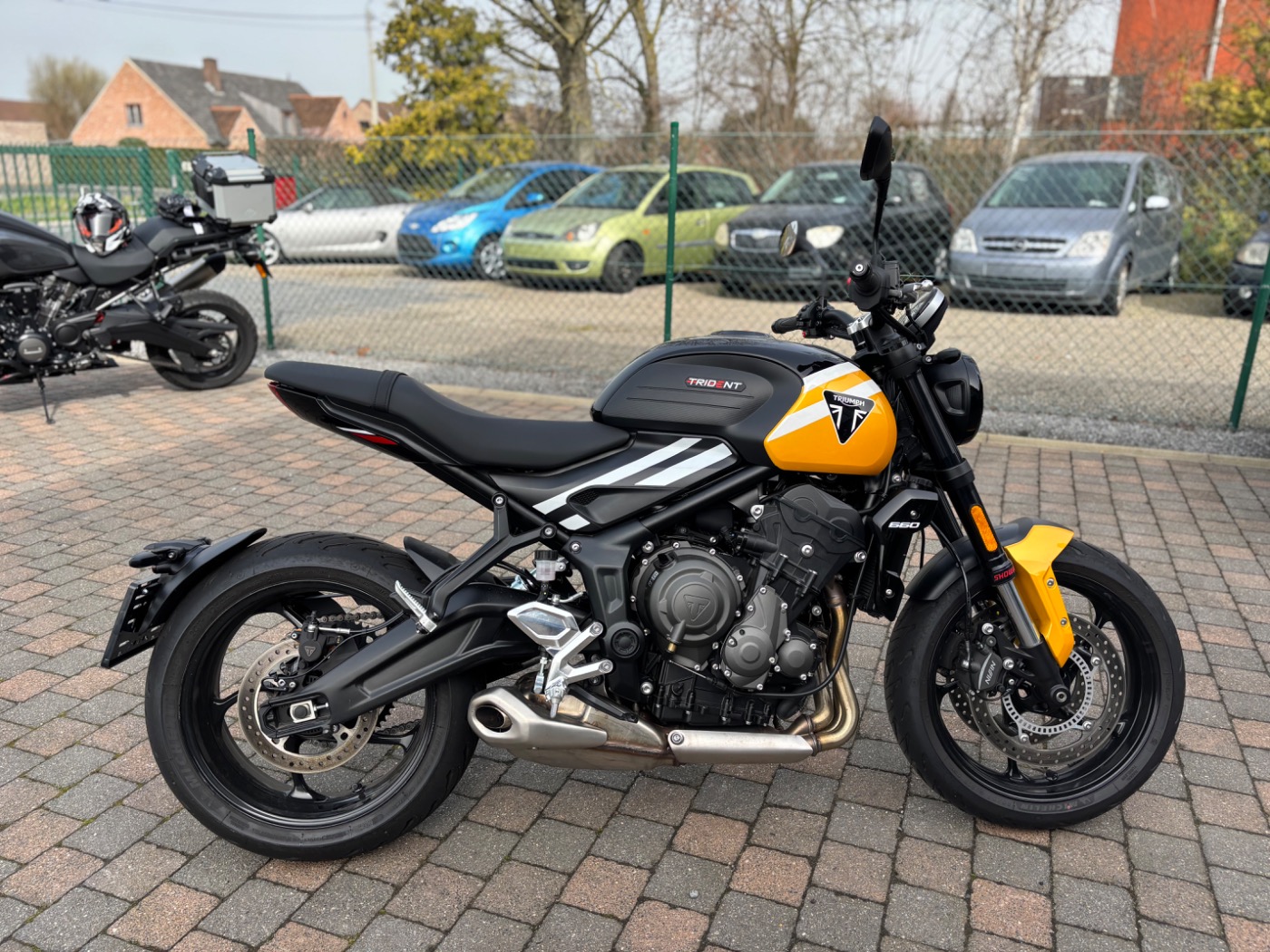 Trident 660 Cosmic Yellow / Sapphire Black